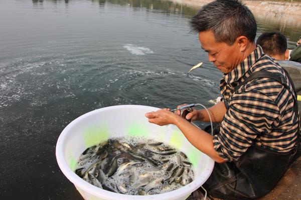 Bevictor伟德官网-韦德(中国)体育-伟大始于1946