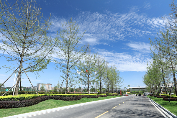 Bevictor伟德官网-韦德(中国)体育-伟大始于1946